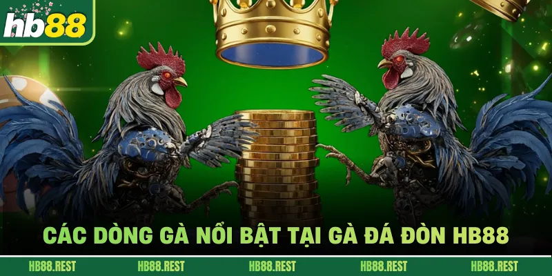 Các dòng gà nổi bật tại gà đá đòn HB88.