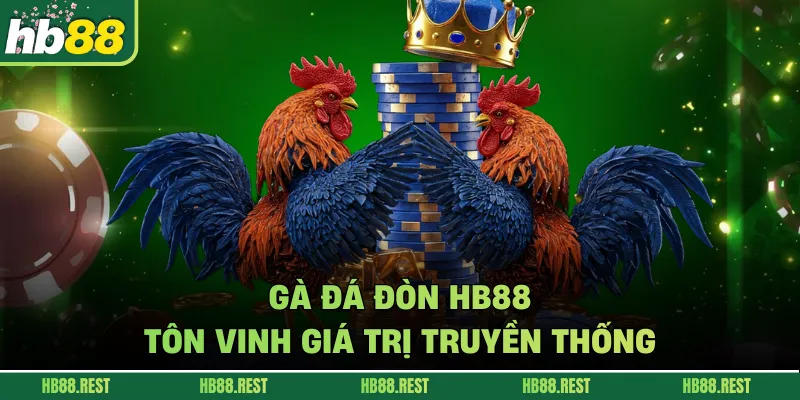 Gà đá đòn HB88 tôn vinh giá trị truyền thống.