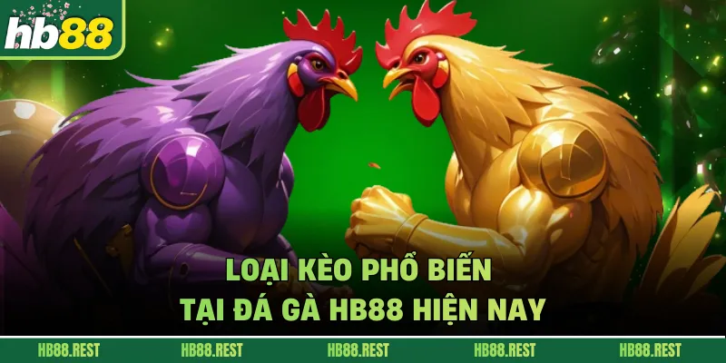 Loại kèo phổ biến tại đá gà HB88 hiện nay.