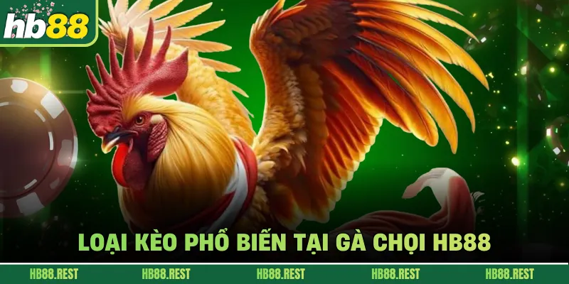 Loại kèo phổ biến tại gà chọi HB88