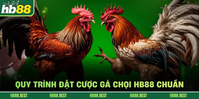 Quy trình đặt cược gà chọi HB88 chuẩn